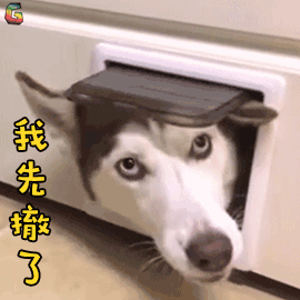 微信图片_20181030103339.gif 微信图片_20181030103339.gif