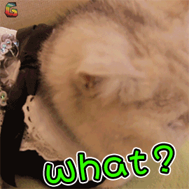 微信图片_20181102102801.gif 微信图片_20181102102801.gif