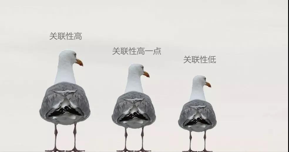 2.jpg 2.jpg